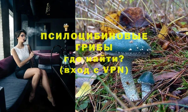 молекула духа Баксан